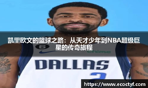 半岛bob·官方网站
