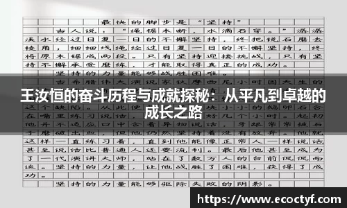 BoB半岛·体育中国官方网站