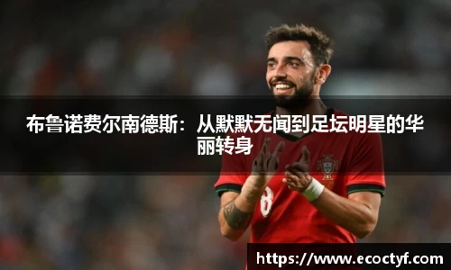 半岛bob·官方网站