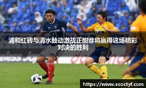 半岛bob·官方网站