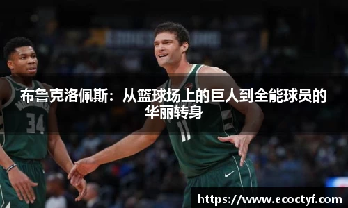 半岛bob·官方网站